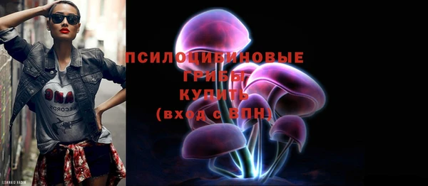 ешки Алексеевка