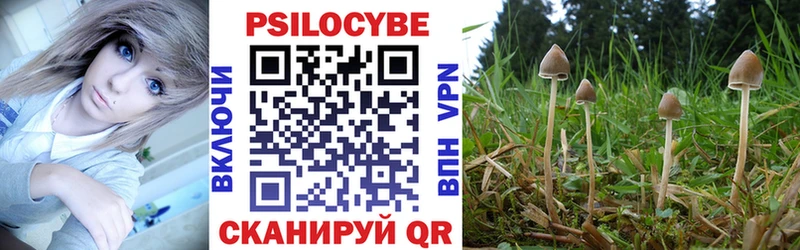 где можно купить   Шахты  Галлюциногенные грибы прущие грибы 